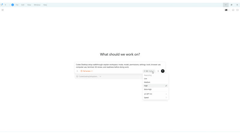 Codex model and reasoning selector